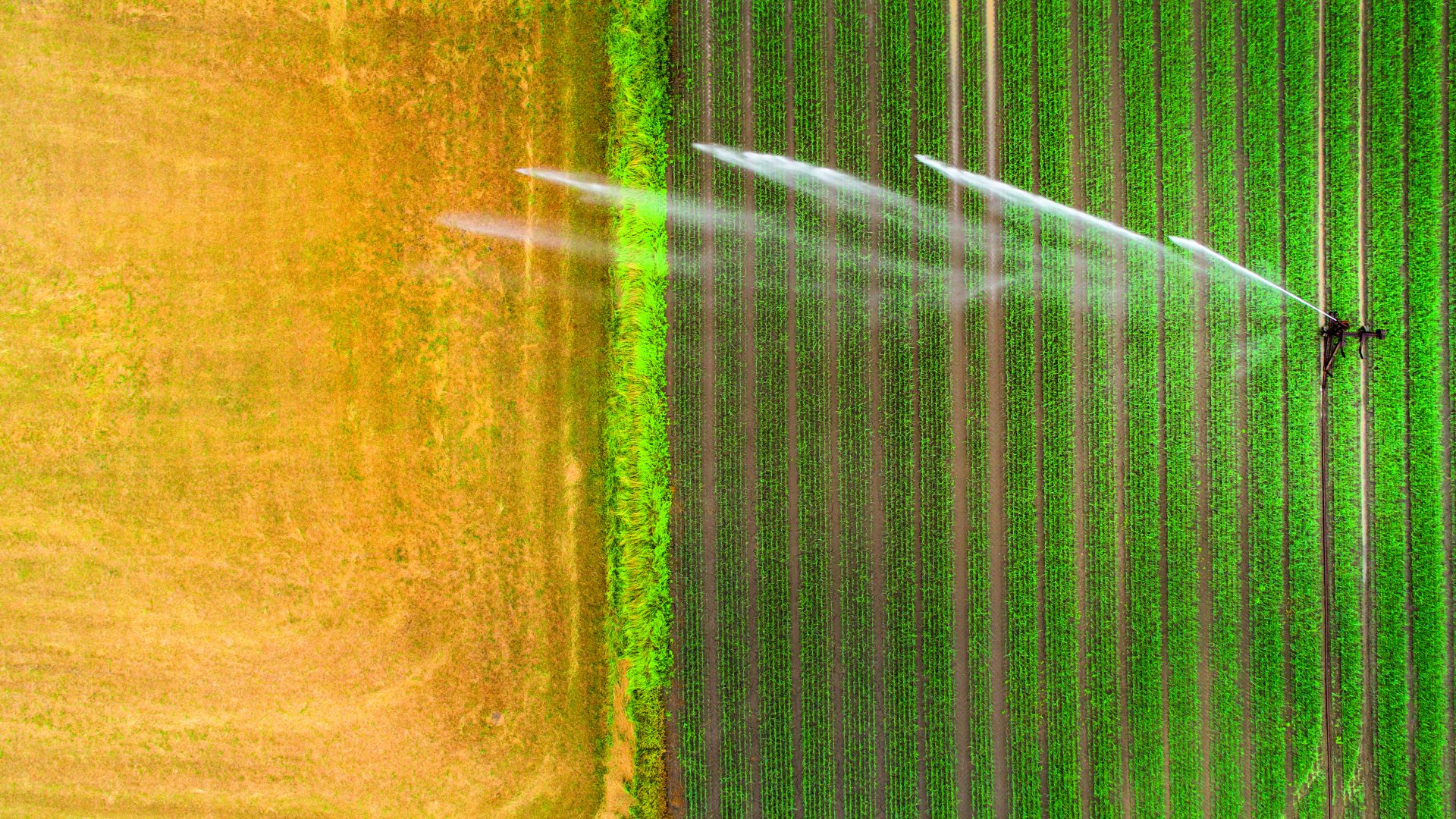 Bewaesserung_Smart-Farming