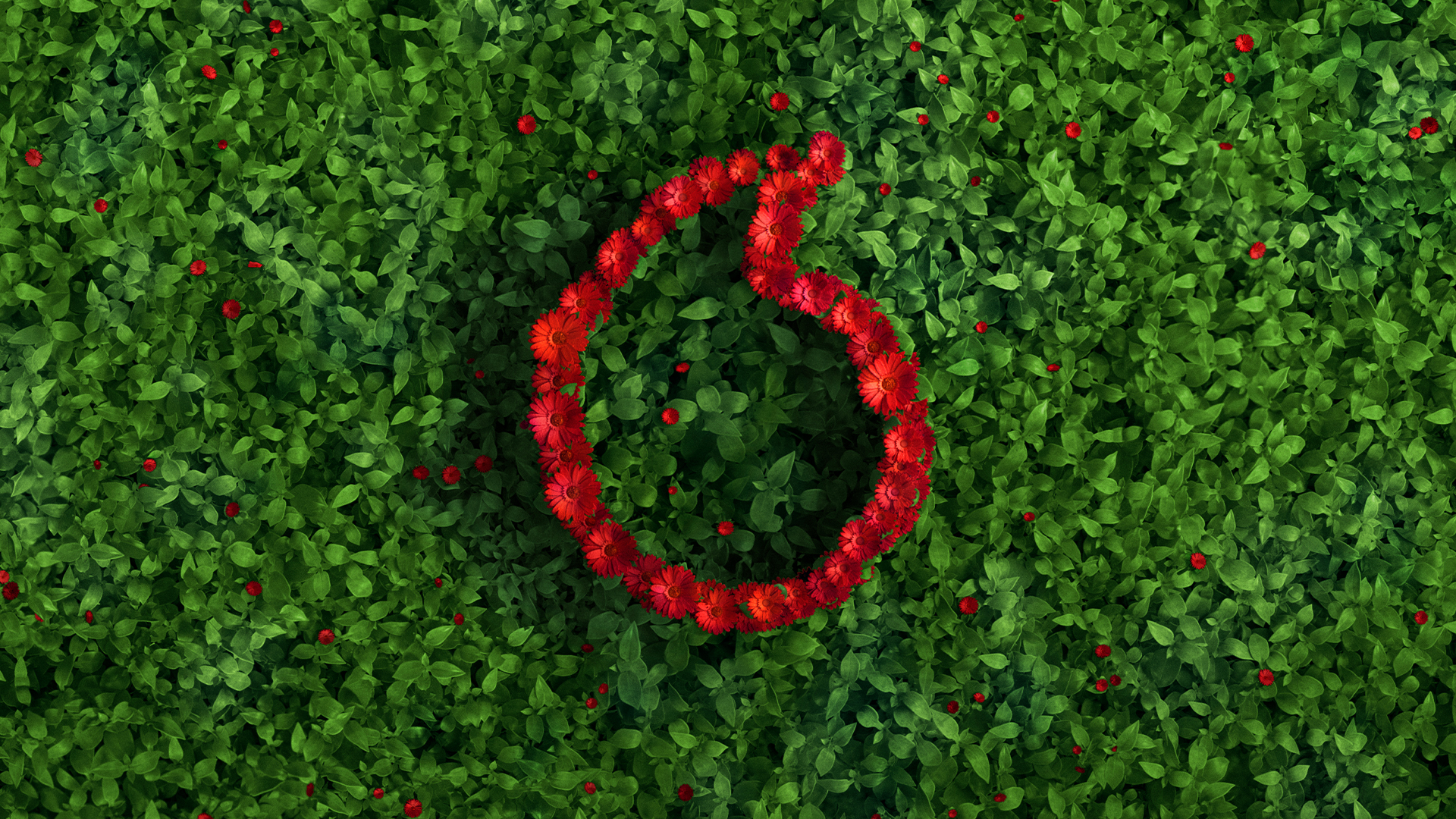 Eine grüne Pflanzenfläche mit roten Blumen, die die Form des Vodafone-Logos bilden.